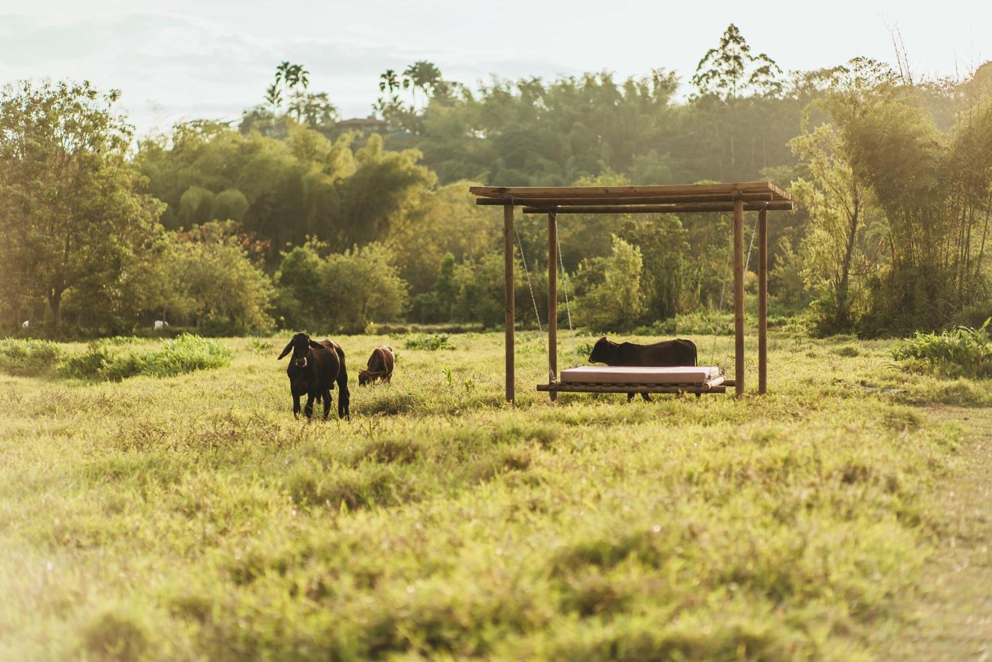 Glamping Entre Rios Hotel กาลาร์กา ภายนอก รูปภาพ